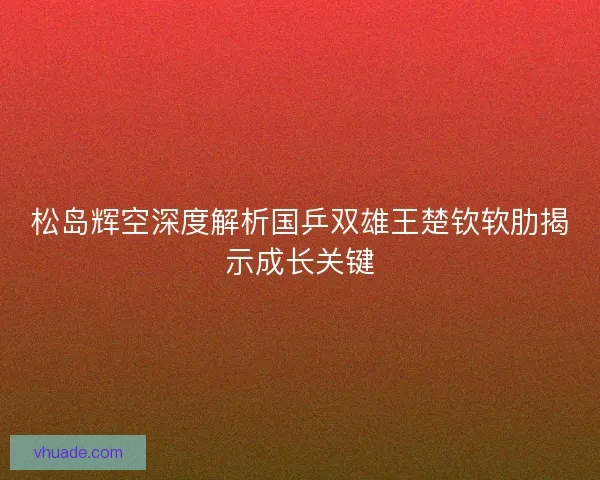 松岛辉空深度解析国乒双雄王楚钦软肋揭示成长关键