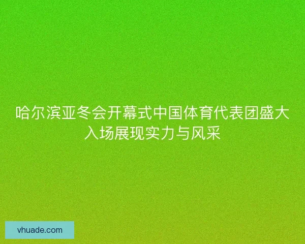 哈尔滨亚冬会开幕式中国体育代表团盛大入场展现实力与风采 哈尔滨亚冬会开幕式中国体育代表团盛大入场展现实力与风采